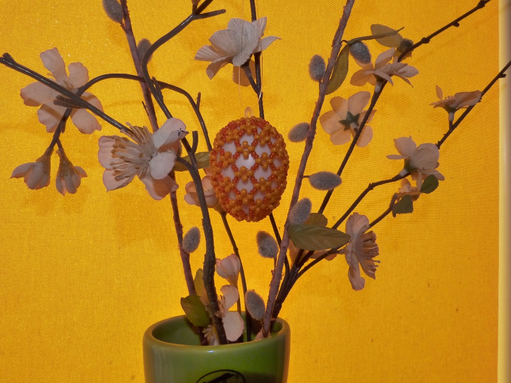 P1110499