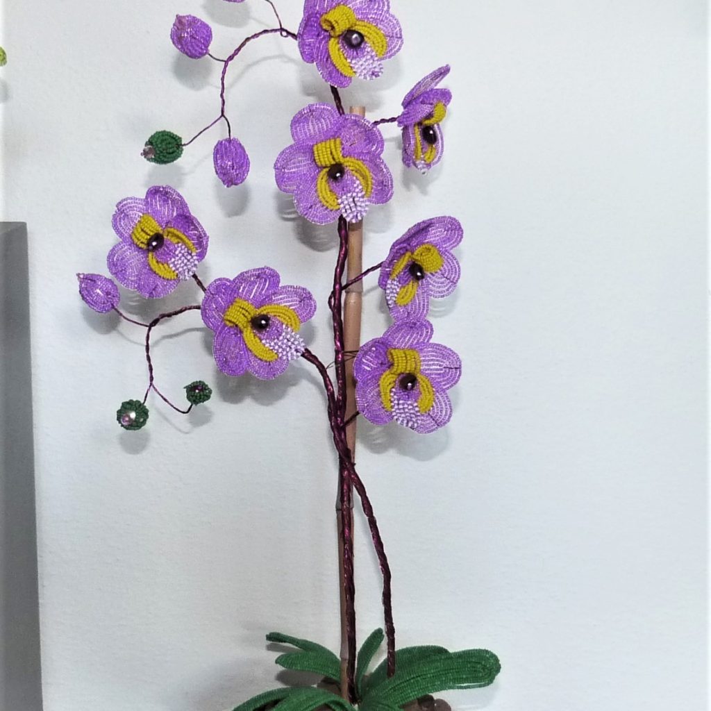 P1130549