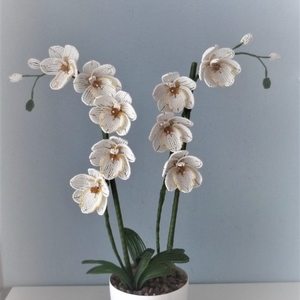 P1150108