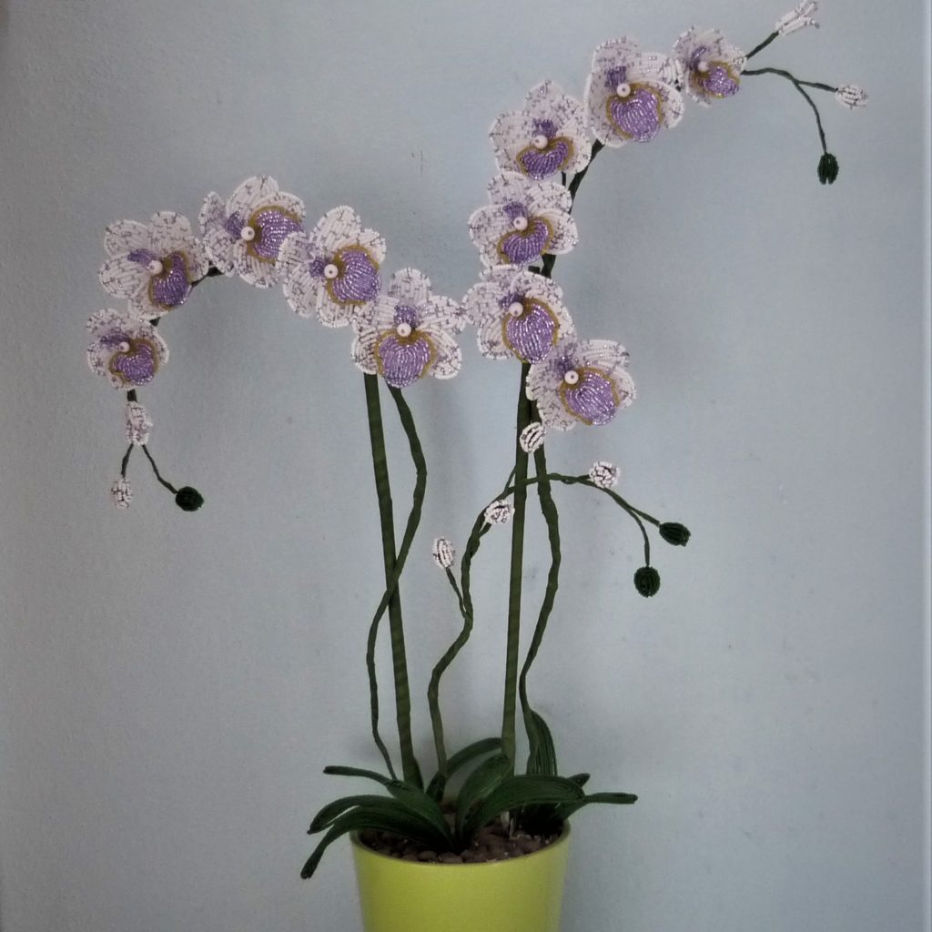 P1150415