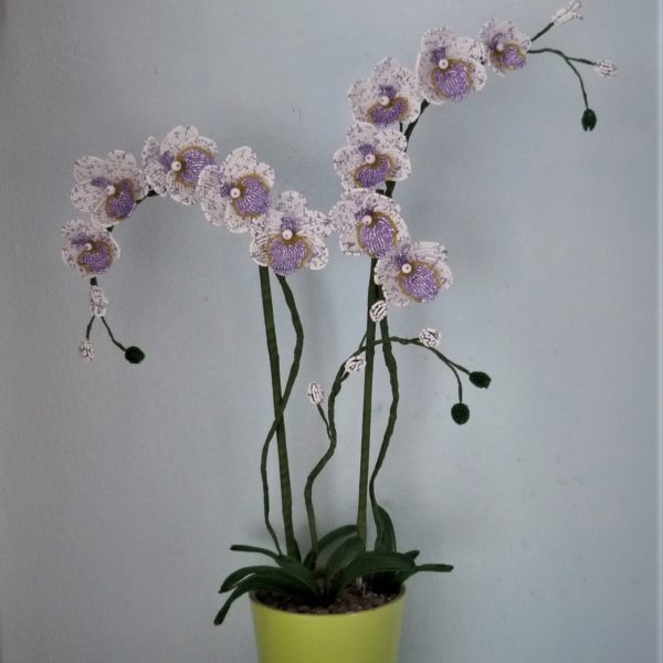 P1150415