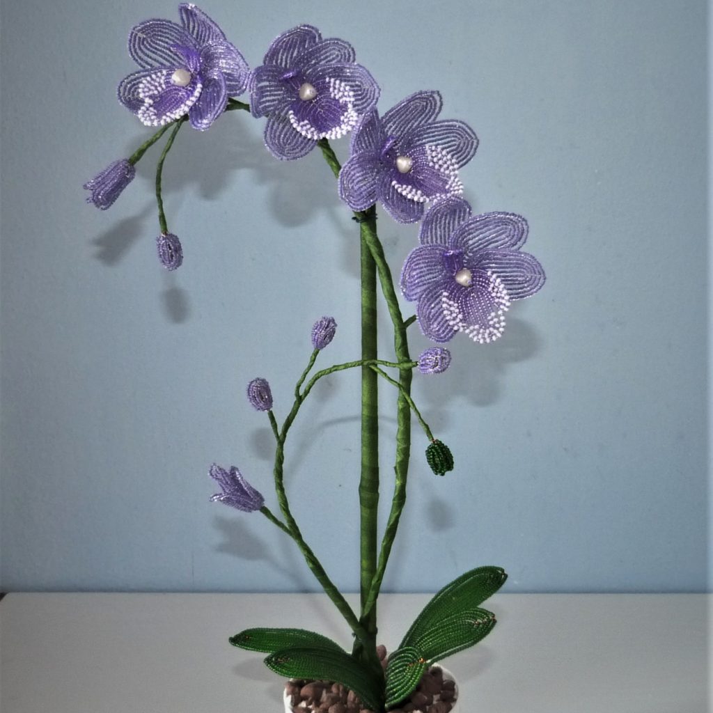 P1150471