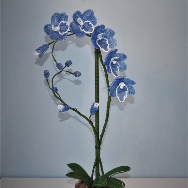 P1150783
