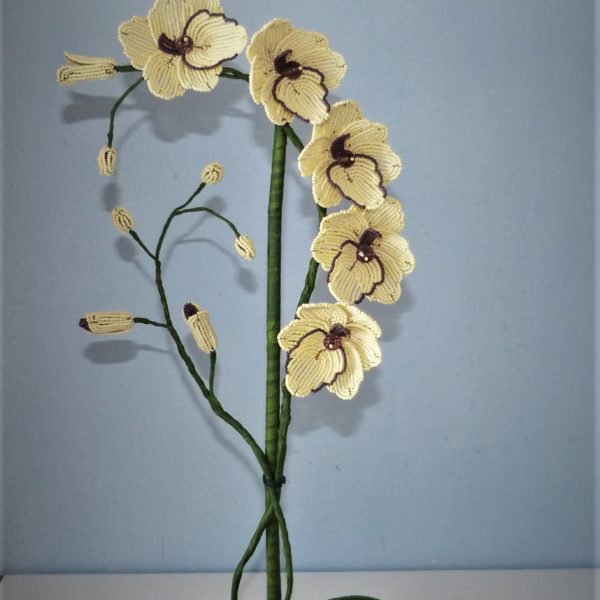 P1150836