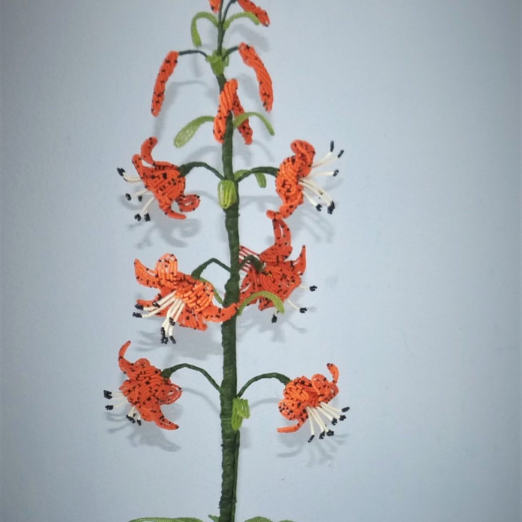 P1160714aa