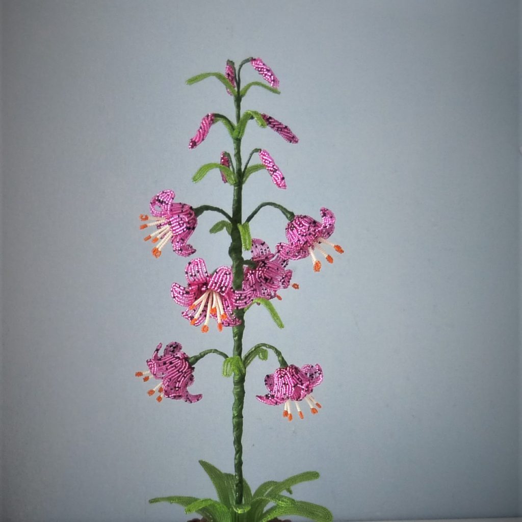 P1160818
