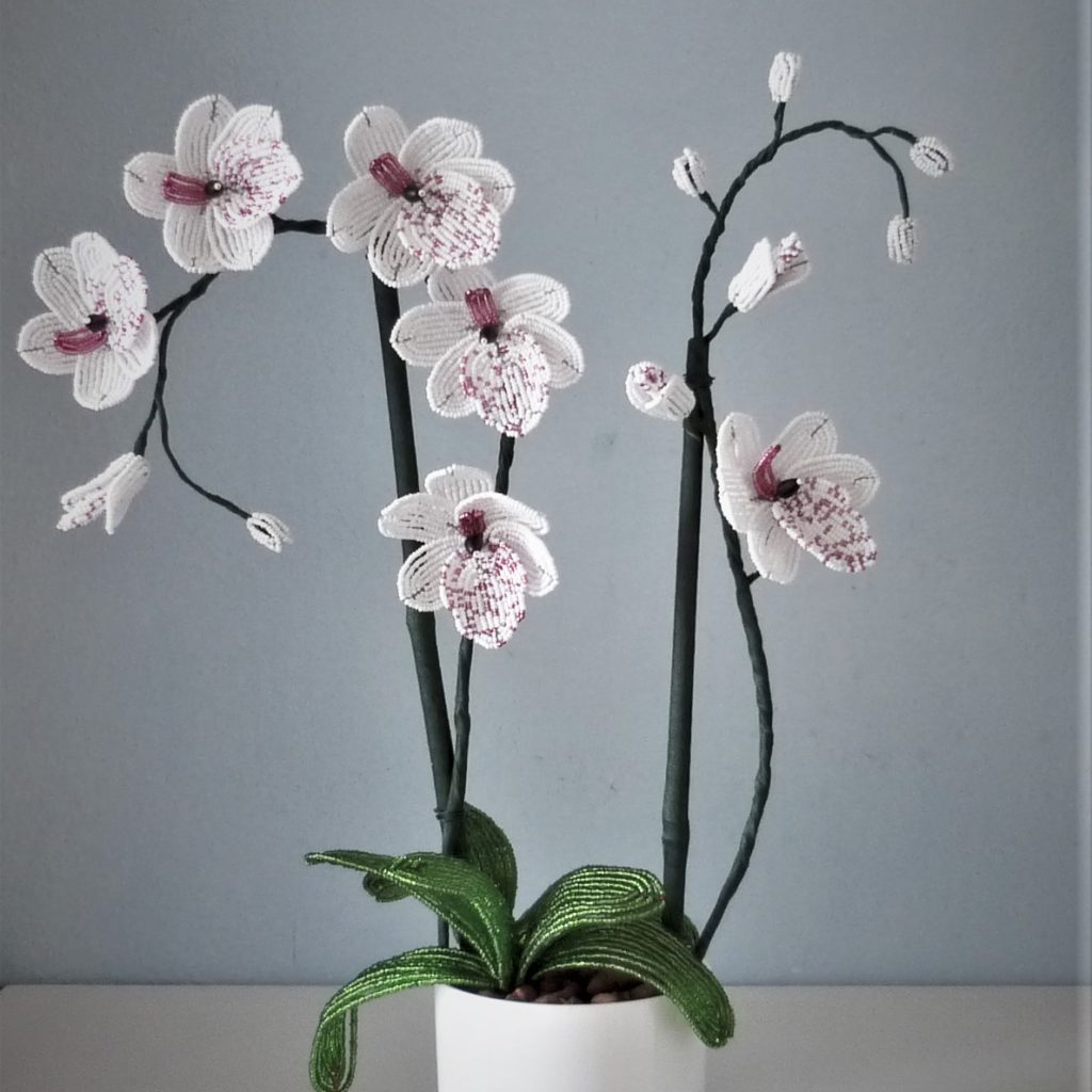 P1210418