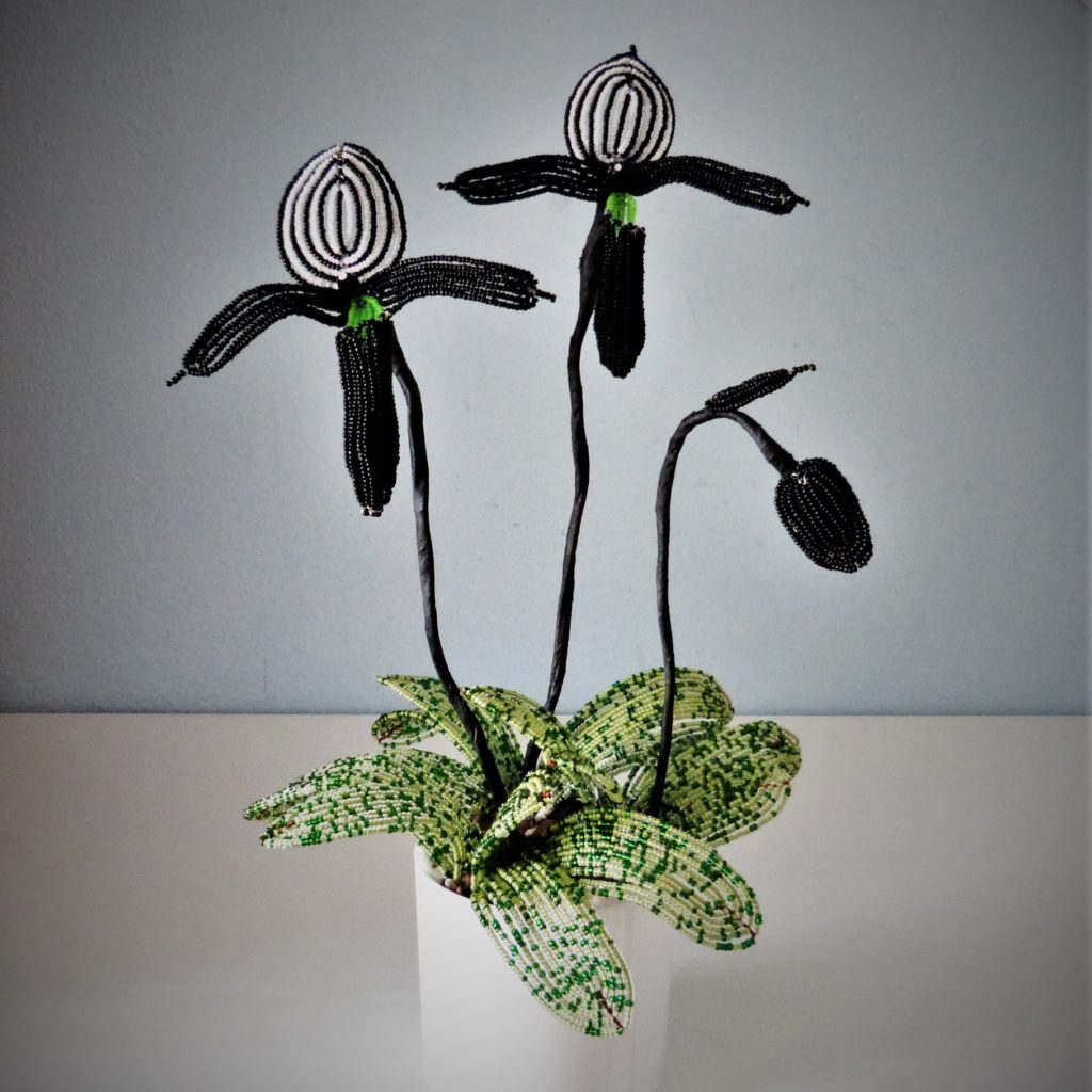 Orchidej Paphiopedilum Orquídea Sapatinho negra – Korálkové Ozdoby