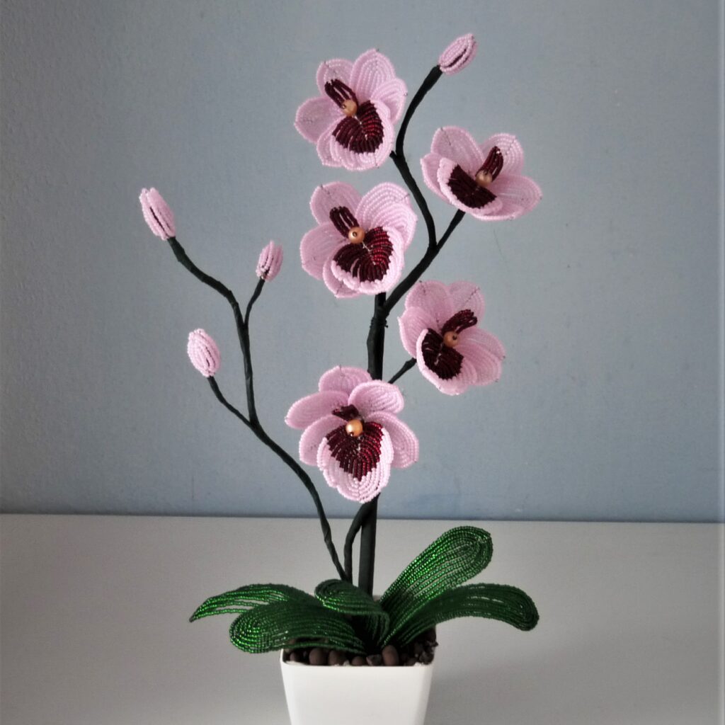 P1280428