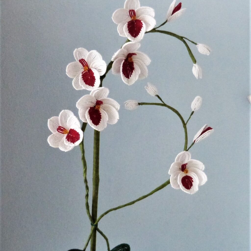 P1300071aa