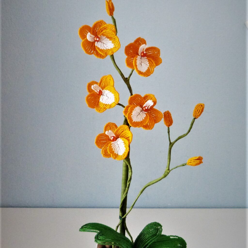 P1300206